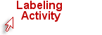 Hyperlink to Labeling Activity